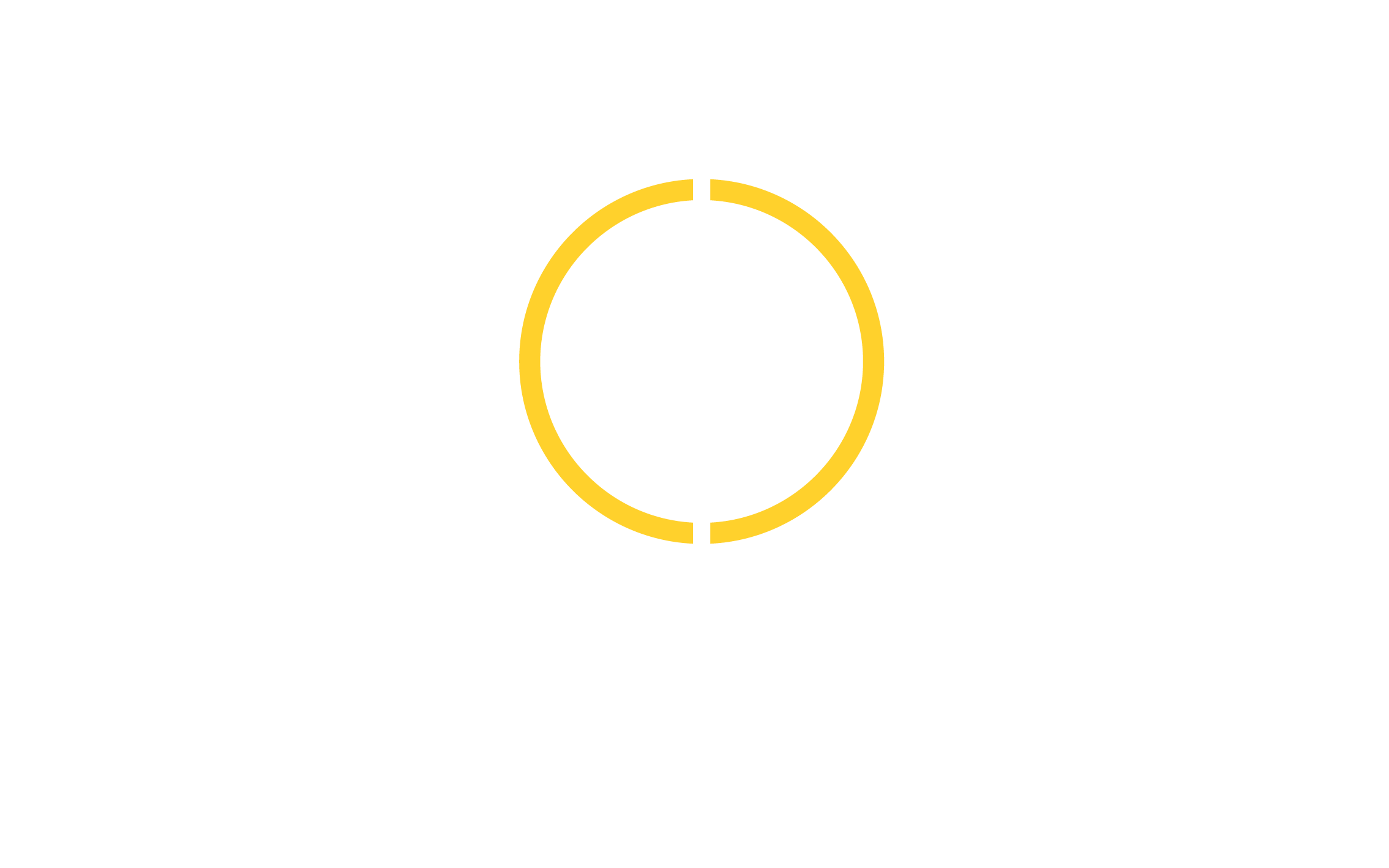 CyberHawk Logo